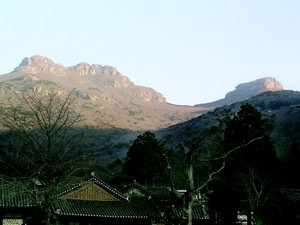 서부관광주유소 이미지