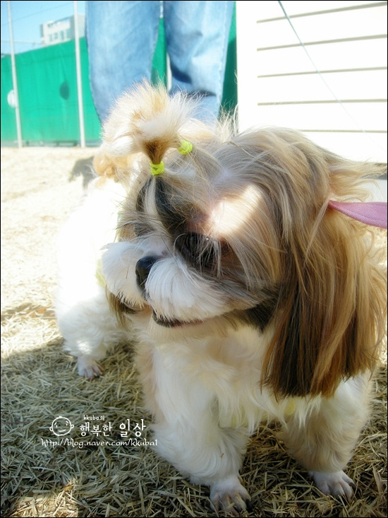 쮸쮸 이미지