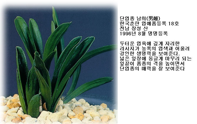 남희 이미지