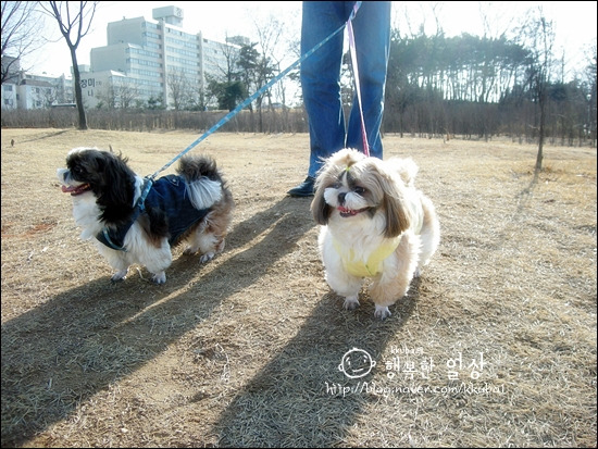 쮸쮸니 이미지