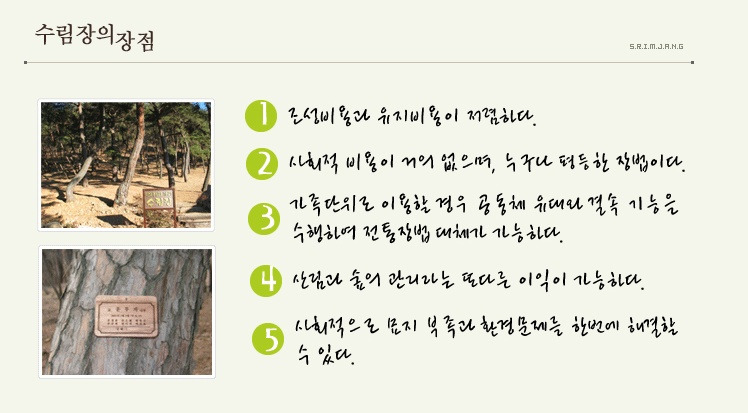 수림장 이미지