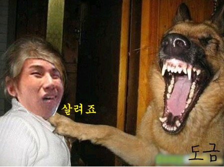 헐 이미지