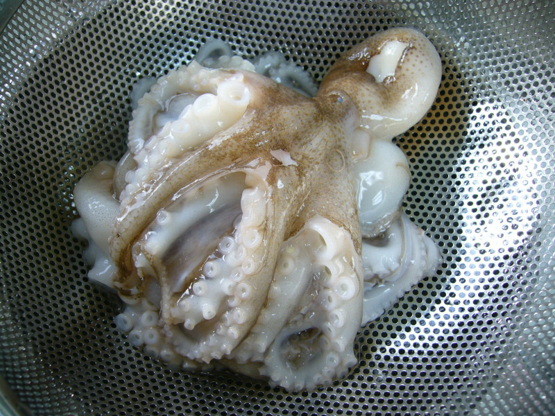 쭈꾸미 이미지