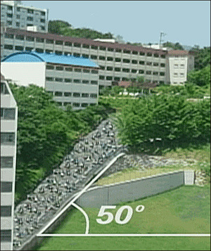 더쫌 이미지