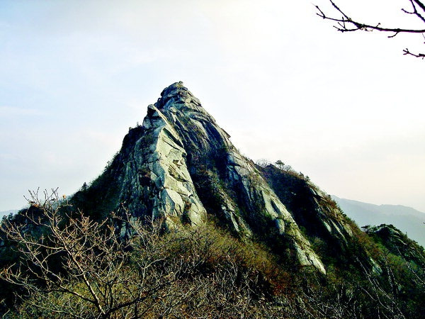 서부관광주유소 이미지