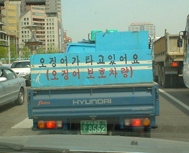 에쿵 이미지